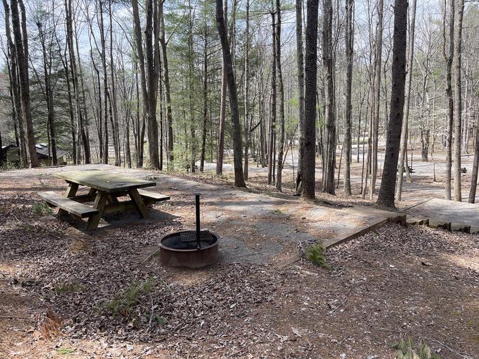 A photo of Site 075 of Loop D at INDIAN BOUNDARY with Picnic Table, Electricity Hookup, Fire Pit, Tent Pad, Lantern Pole