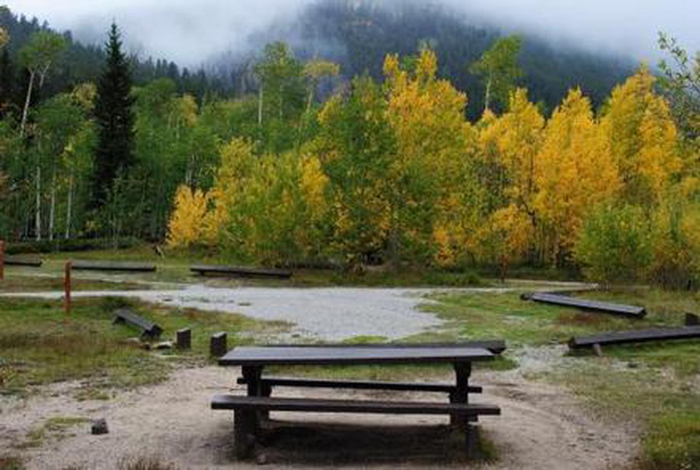 Picnic table with aspen trees with fall foliage Aspen trees with fall foliage.