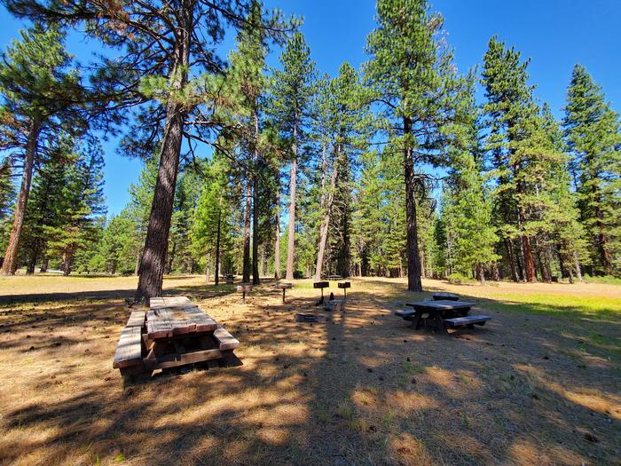 Almanor Group  Site Group Site