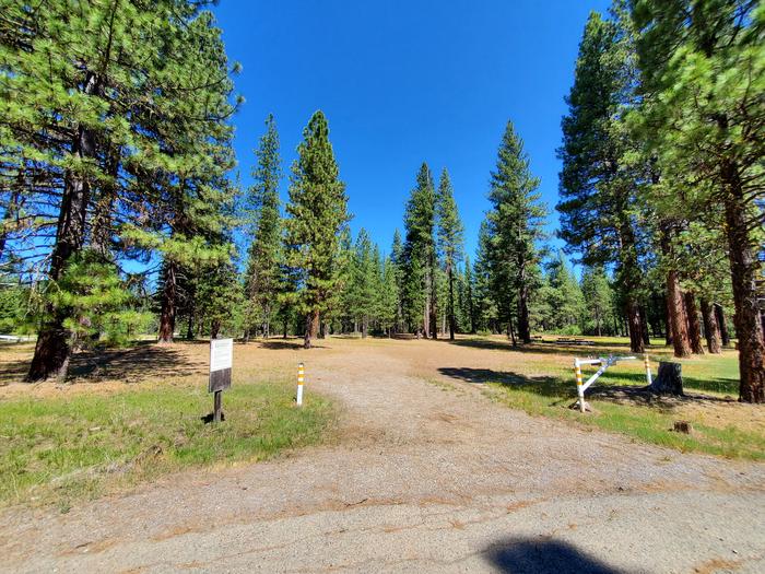 Almanor Group SIteGroup Site