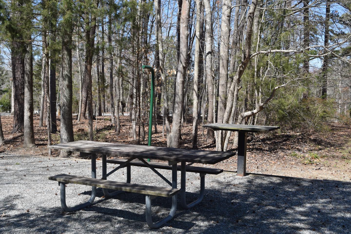 Longwood Campsite #45This is a photo of the picnic table, utility table and lantern post. 