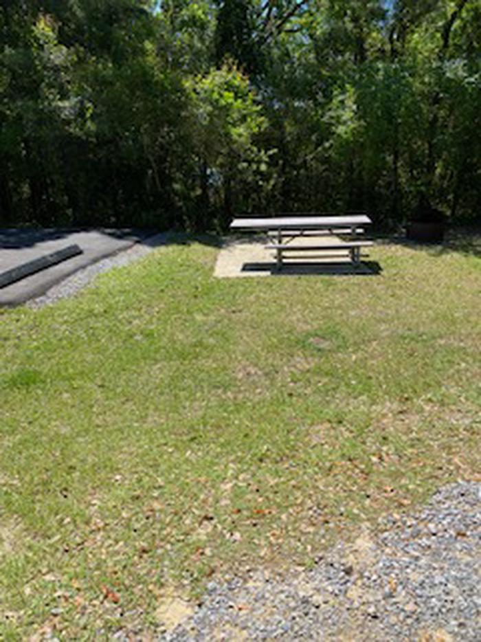 Site 31 picnicSite 31 picnic/fire pit area