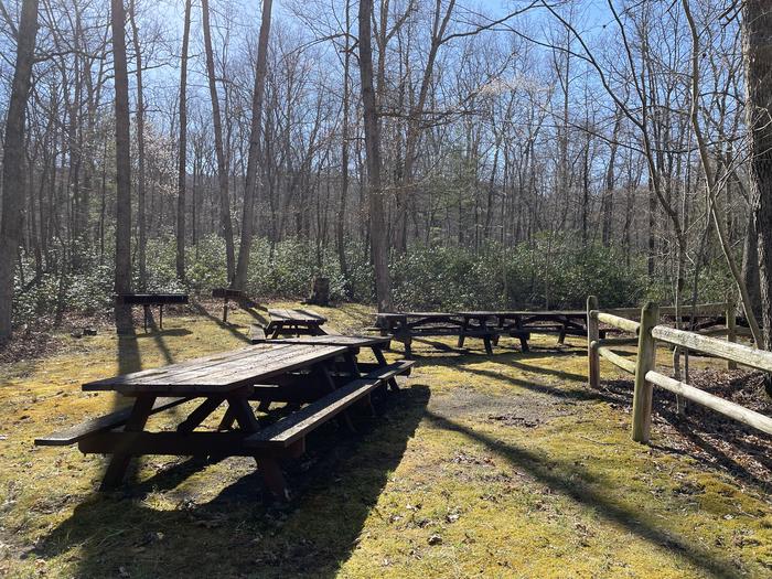 A photo of Site 00B of Loop PICB at Trout Pond Recreation Area with Picnic Table and two grills.
