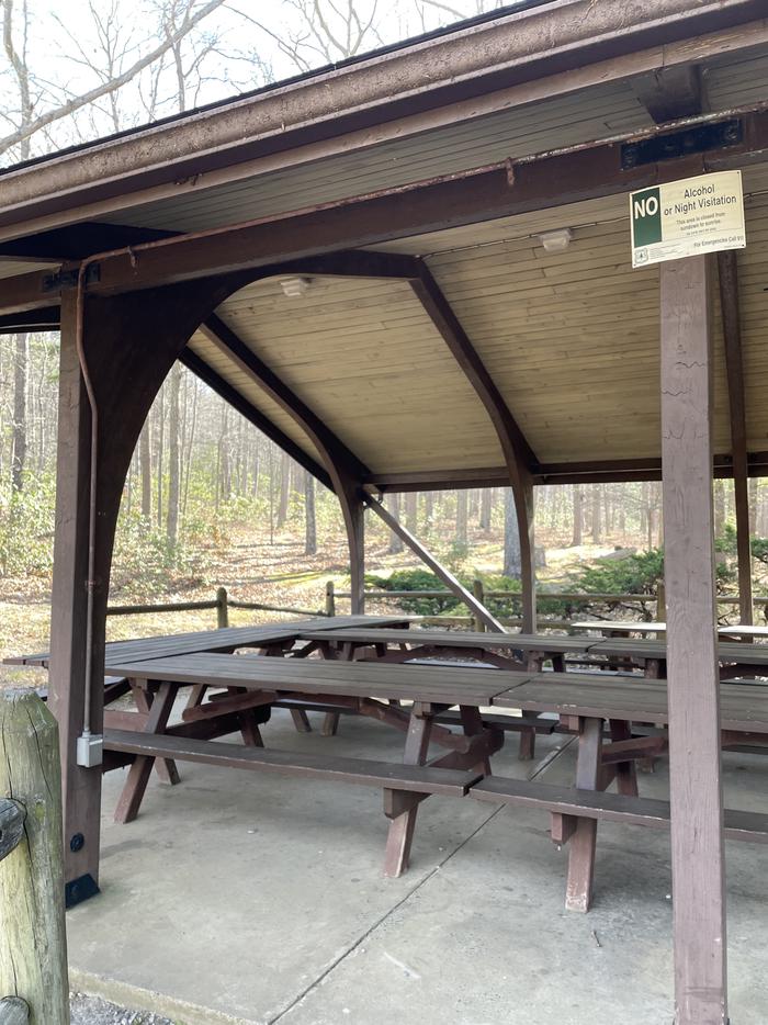 A photo of Site 00A of Loop PICA at Trout Pond Recreation Area with Picnic Table, Lean To / ShelterA photo of Site 00A of Loop PICA at Trout Pond Recreation Area with Picnic Tables and Shelter overhead. 