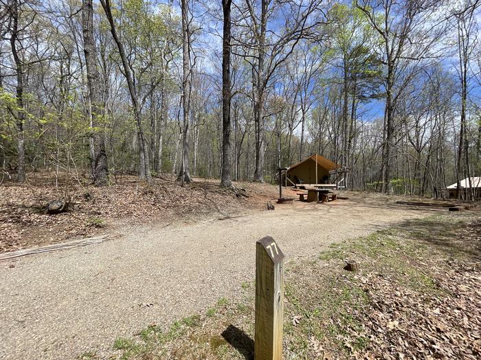 Glamping Tent #77 - driveway (facing tent)