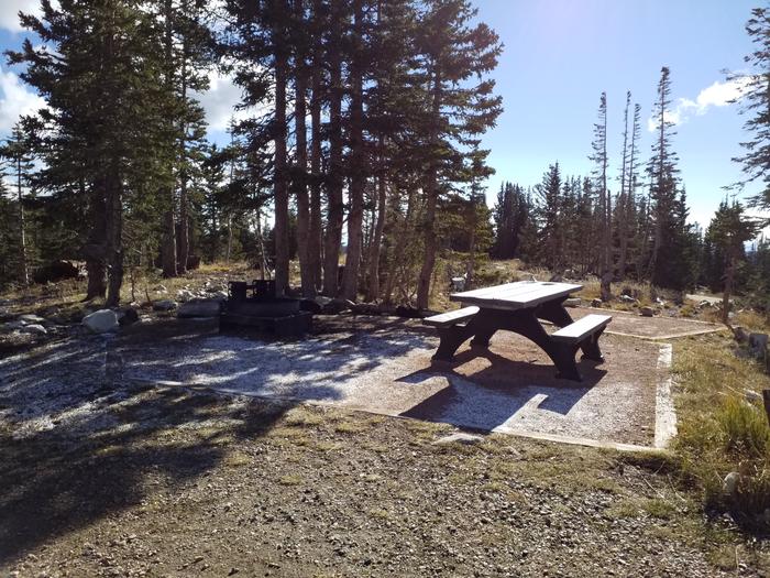 Site 008, Sugarloaf Campground (WY) Recreation.gov