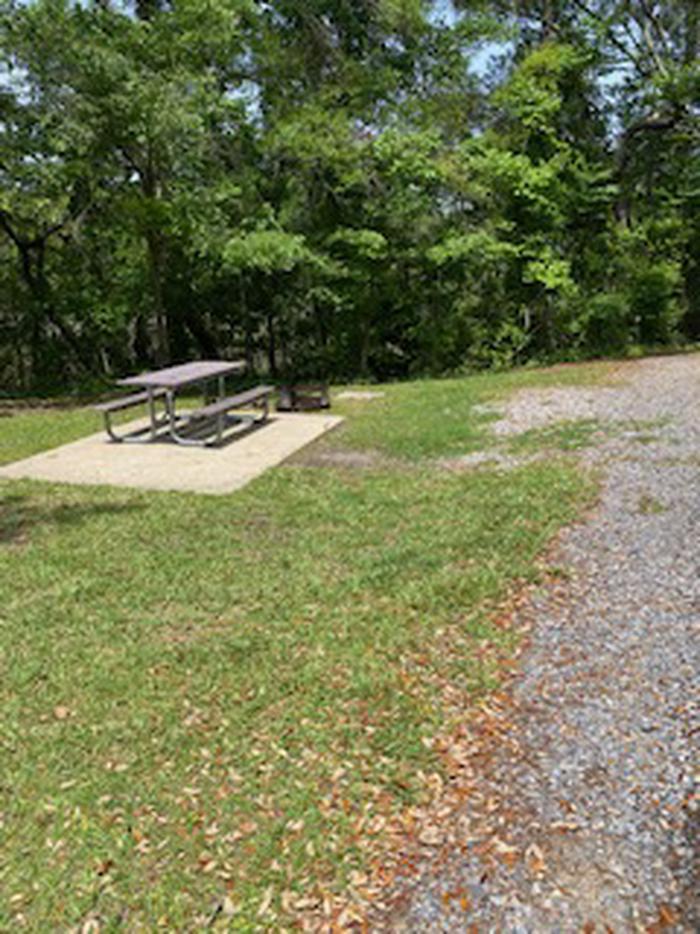 Site 13 picnic/fire pitSite 13 picnic/fire pit area