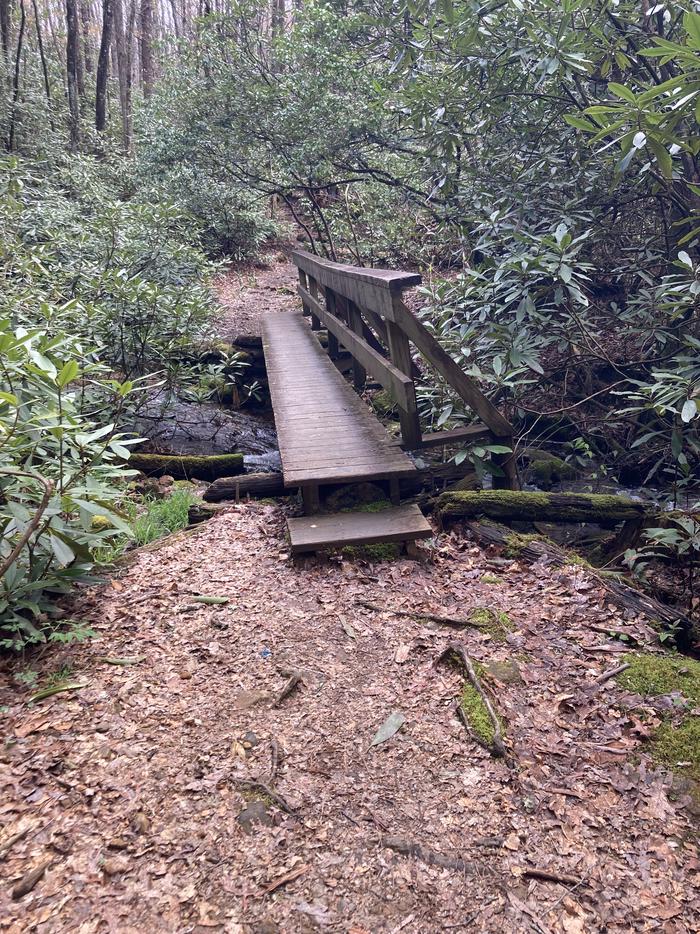 Hiking trailHiking trail around campground