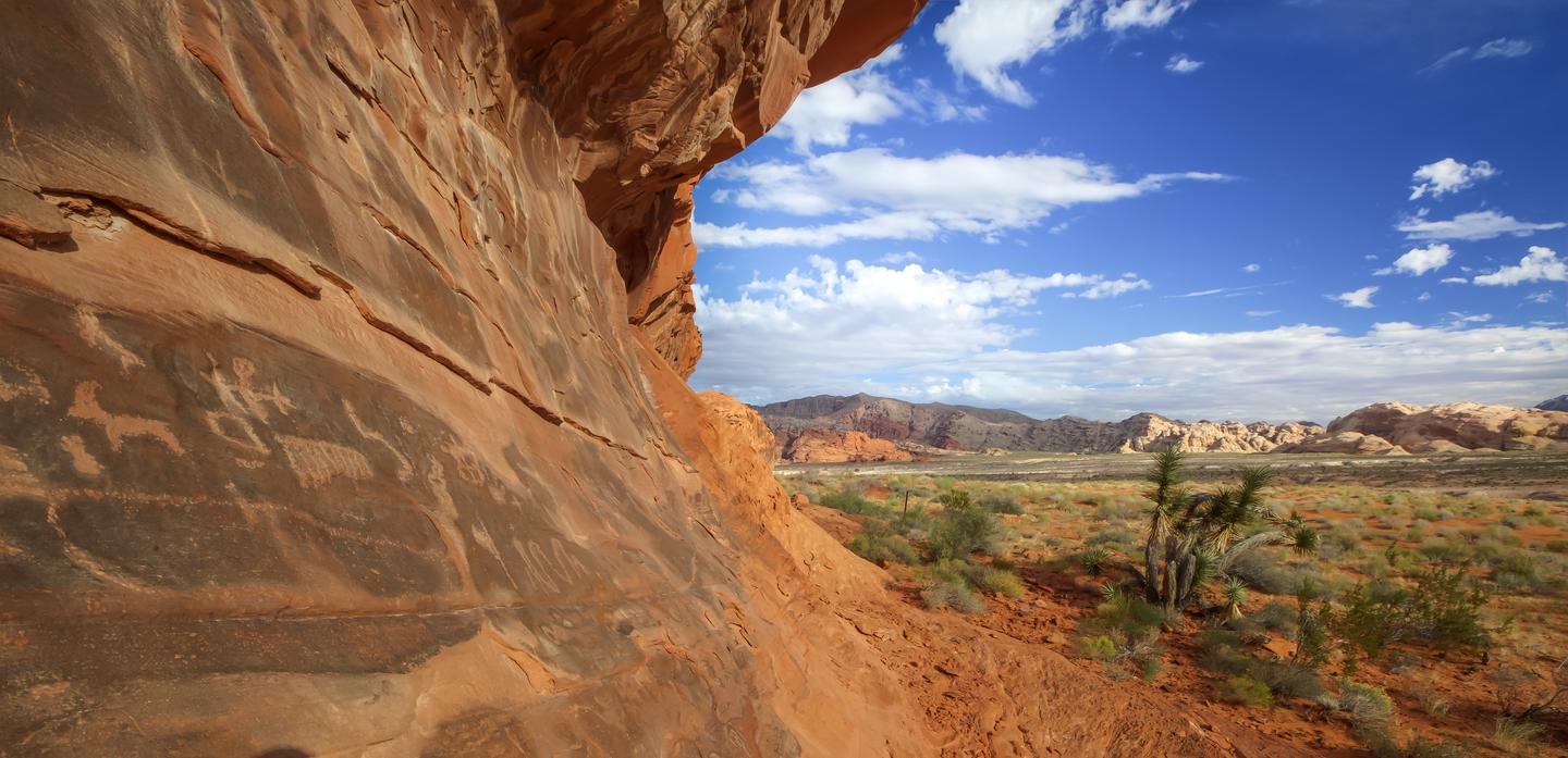 Landscape view with petroglyphs at Gold Butte National Monument.