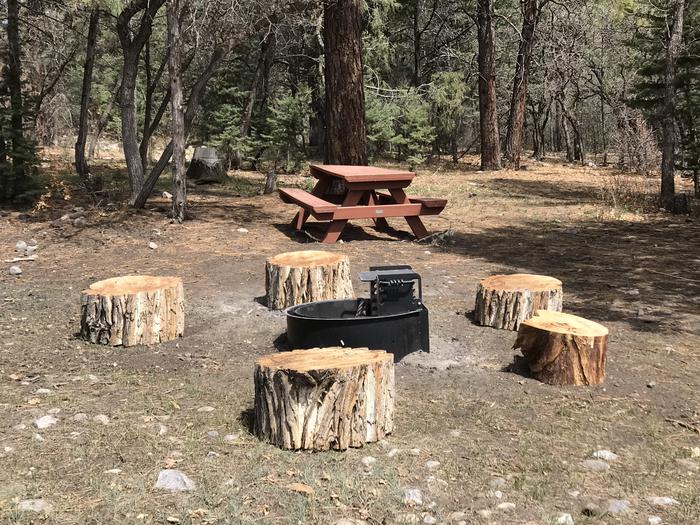 A great placed to camp!Fire ring/Picnic table area