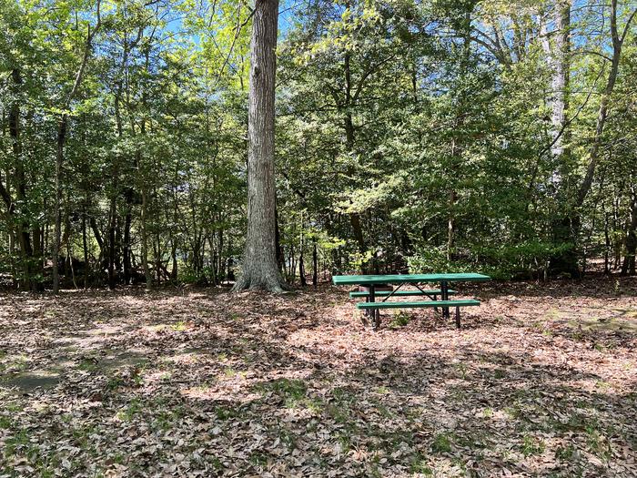 A photo of Site G5 of  Paradise Grove at Pax River Paradise Grove Campgrounds with Picnic TableA photo of Site G5 of Loop Paradise Grove at Pax River Paradise Grove Campgrounds with Picnic Table and campfire ring