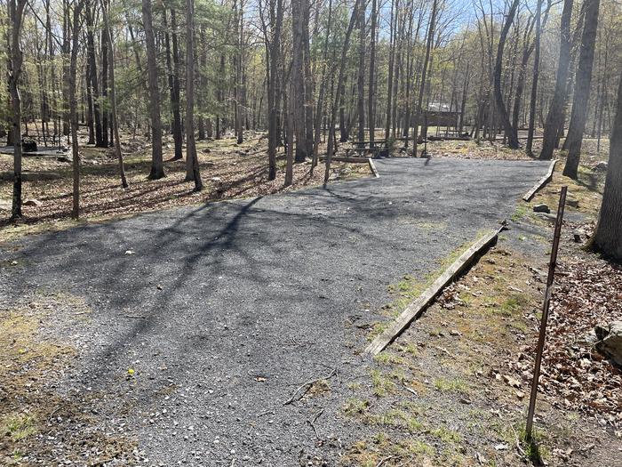 A photo of Site 042 of Loop SING at Trout Pond Recreation Area with Picnic Table, Fire Pit