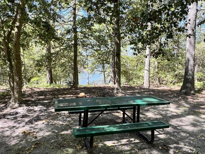 G8 Paradise GroveG8 campsite with picnic table, campfire ring and water view