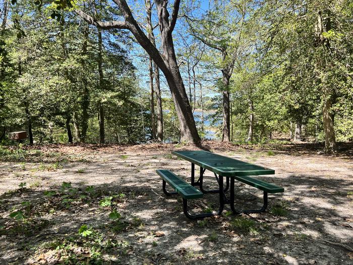 G9 Paradise GroveG9 campsite with picnic table, campfire ring and water view