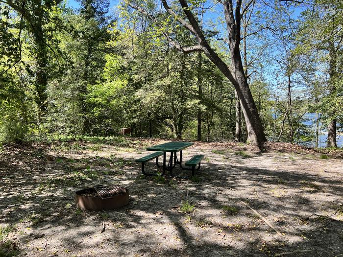 G9 campsite Paradise GroveG9 campsite with picnic table, campfire ring and water view