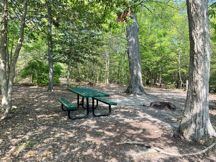 A photo of G07 of Paradise Grove at Pax River Paradise Grove Campgrounds