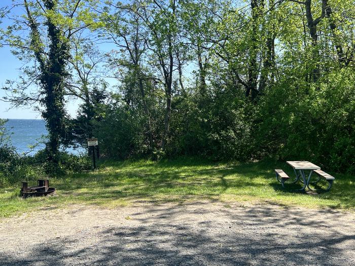 A photo of Site H2 of Loop Hog Point at Pax River Hog Point Campgrounds with picnic table and campfire ring