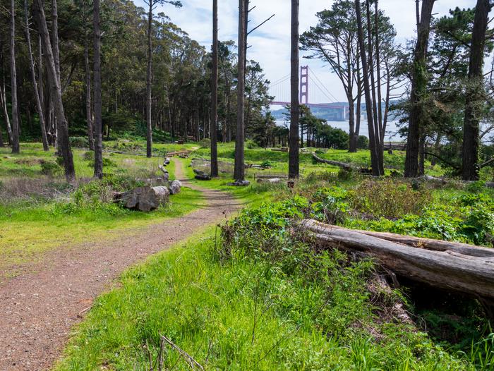 Dirt path leading through Kirby Cove Campground. Through the tall trees, there is a view of the Golden Gate Bridge.View of Kirby Cove Sites 3, 2, and 5 from a distance.