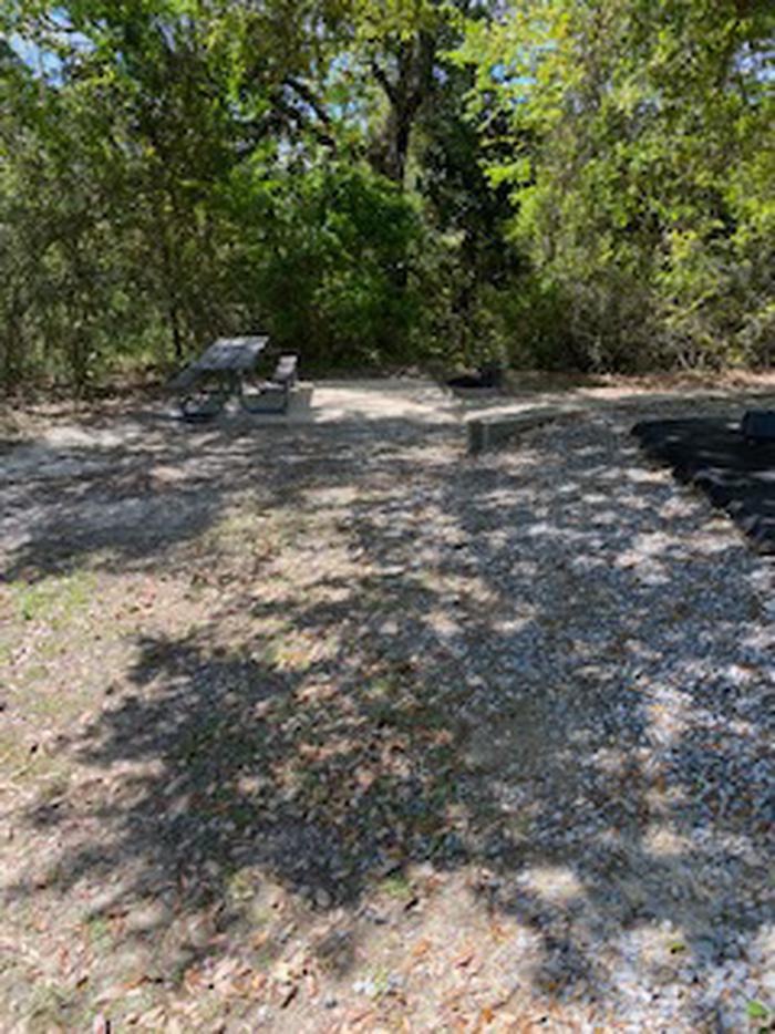 Site 35 picnic/fire pitSite 35 picnic/fire pit area