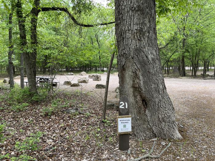 A photo of Site 21 of Loop Cold Springs at Cold Springs Campground (OK) Chickasaw NRA with Picnic Table, Fire Pit, Lantern Pole