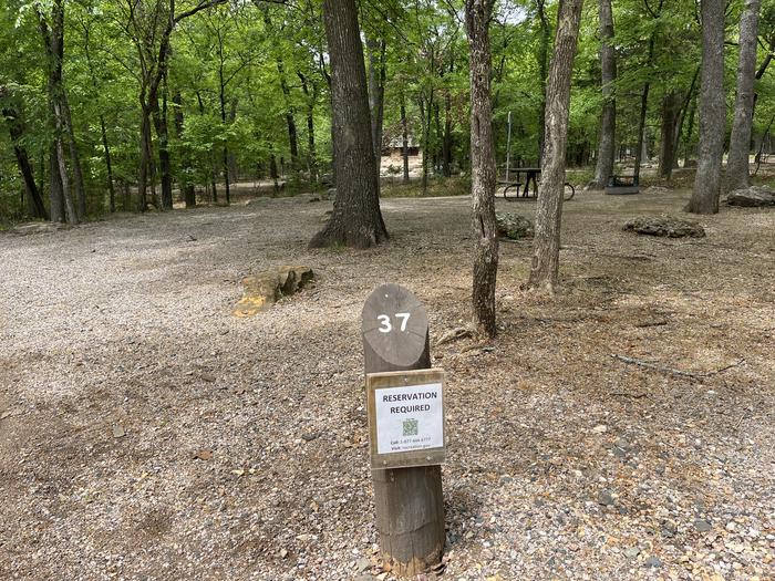 A photo of Site 37 at Cold Springs Campground (OK) Chickasaw NRA with Picnic Table, Fire Pit, Lantern Pole