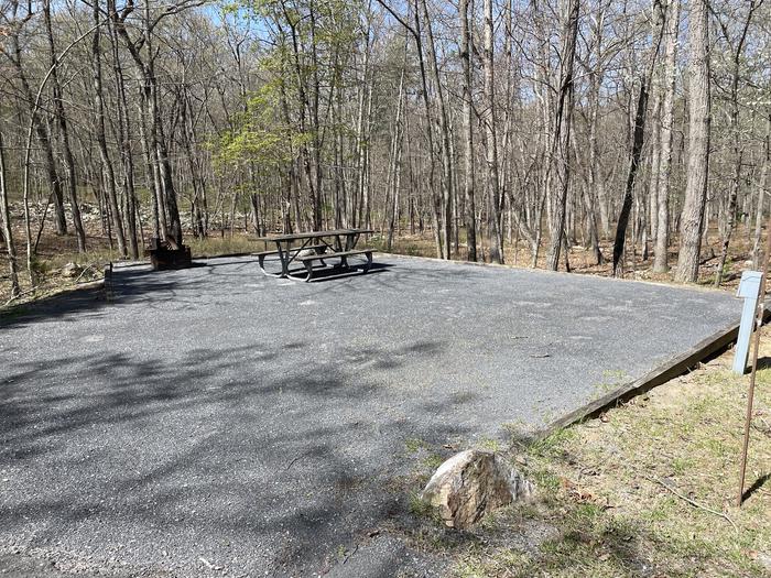 A photo of Site 012 of Loop SING at Trout Pond Recreation Area with Picnic Table, Electricity Hookup, Fire Pit and shorter drive in space.