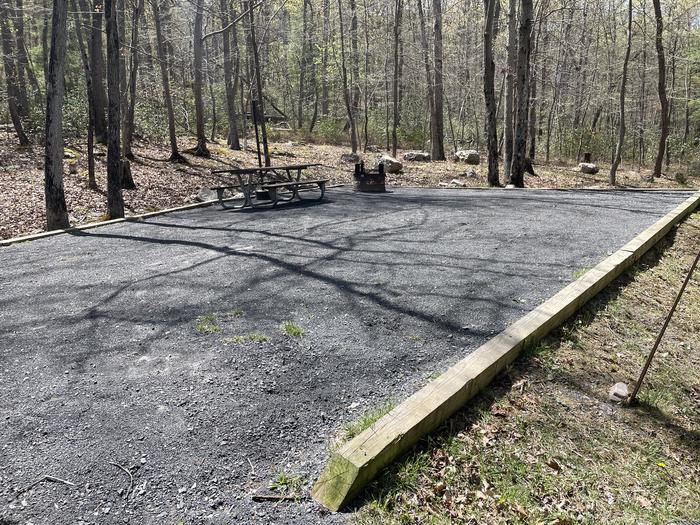 A photo of Site 022 of Loop SING at Trout Pond Recreation Area with Picnic Table, Fire Pit