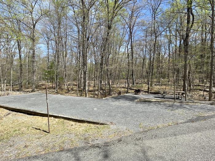 A photo of Site 021 of Loop SING at Trout Pond Recreation Area with Picnic Table, Fire Pit