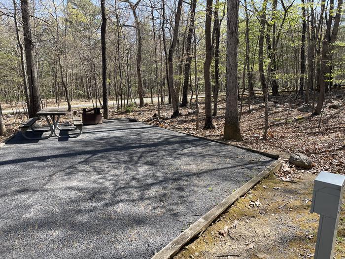 A photo of Site 002 of Loop SING at Trout Pond Recreation Area with Picnic Table, Electricity Hookup, Fire Pit