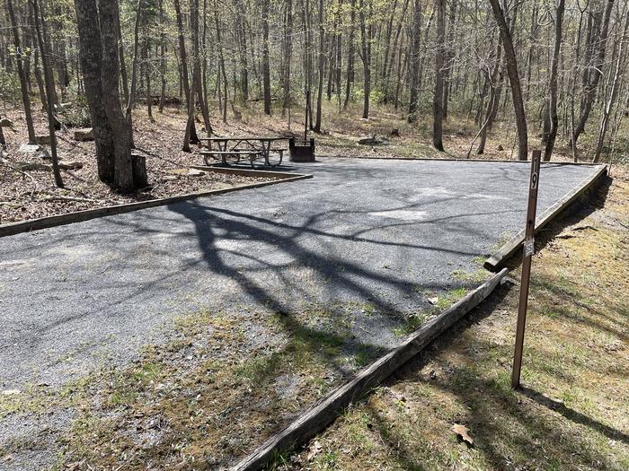 A photo of Site 019 of Loop SING at Trout Pond Recreation Area with Picnic Table, Fire Pit