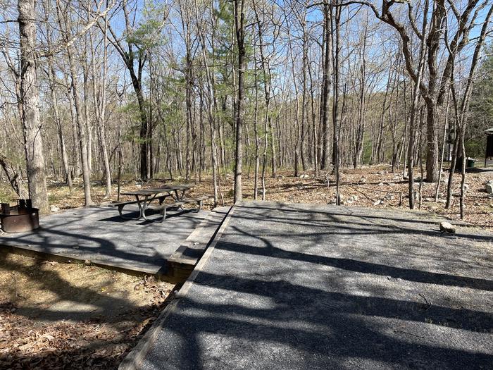 A photo of Site 001 of Loop SING at Trout Pond Recreation Area with Picnic Table, Electricity Hookup, Fire Pit