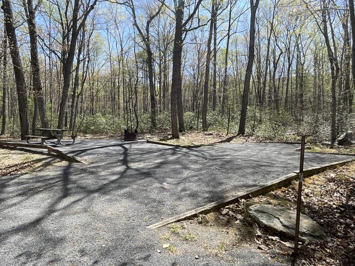 A photo of Site 028 of Loop SING at Trout Pond Recreation Area with Picnic Table, Fire Pit