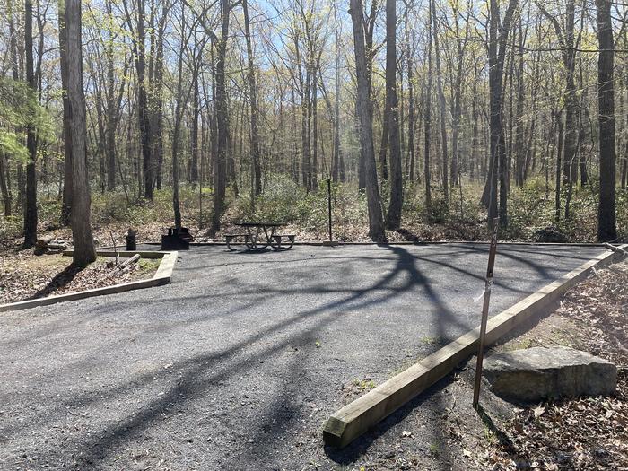 A photo of Site 026 of Loop SING at Trout Pond Recreation Area with Picnic Table, Fire Pit