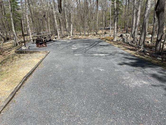 A photo of Site 020 of Loop SING at Trout Pond Recreation Area with Picnic Table, Fire Pit