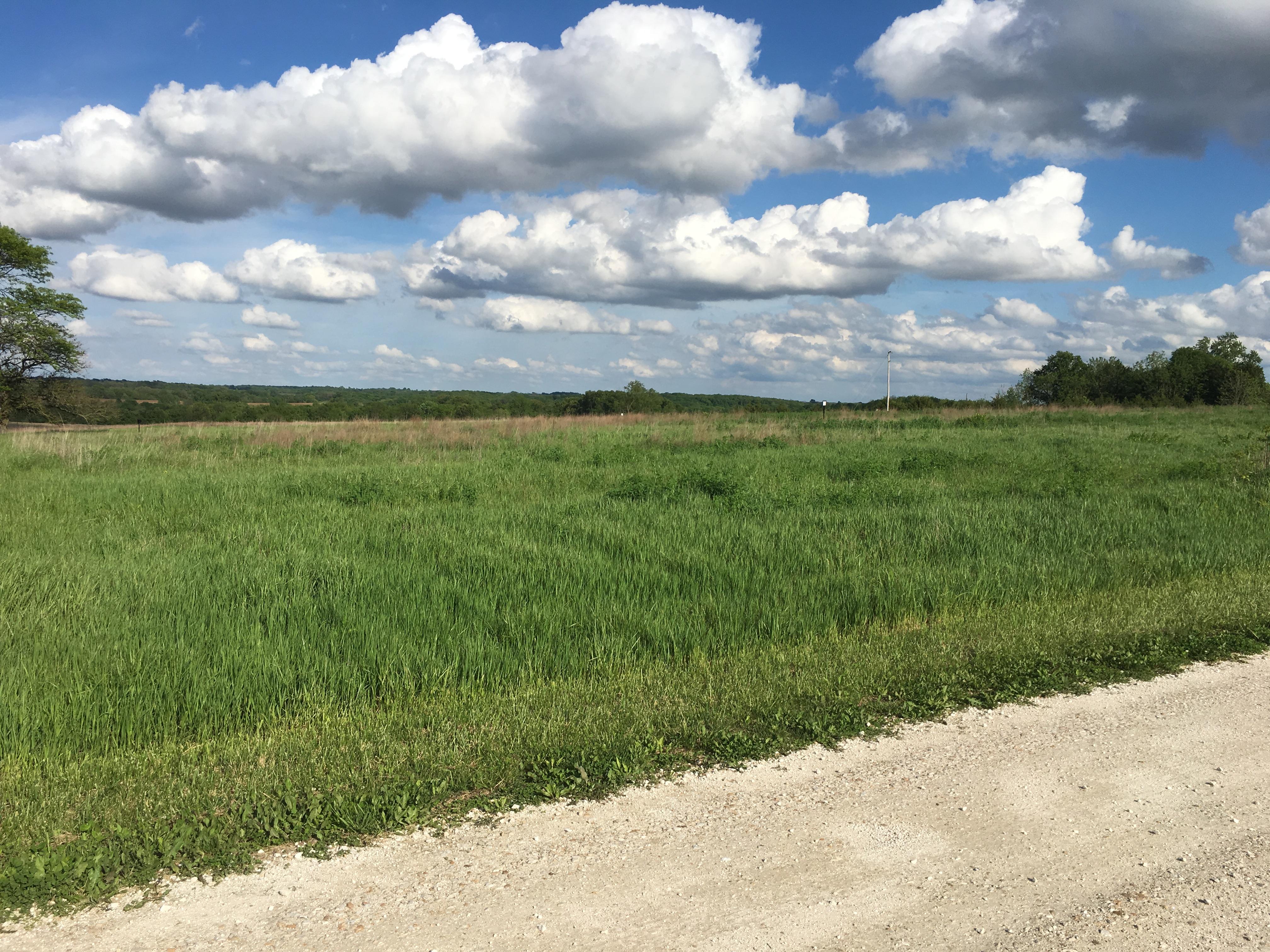 Perseverance and Freedom on the Illinois Frontier