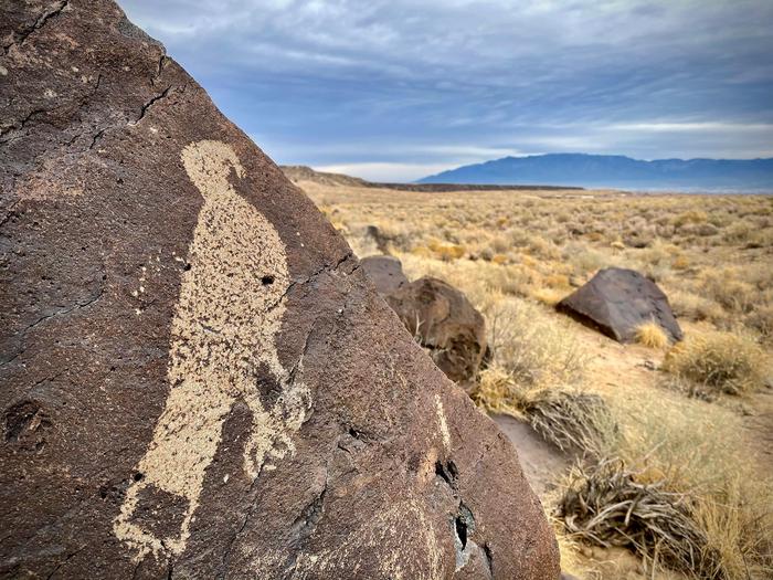 Hawk petroglyph at Mesa PrietaA petroglyph of a hawk at Mesa Prieta. It can be visited from the South Point trailhead.