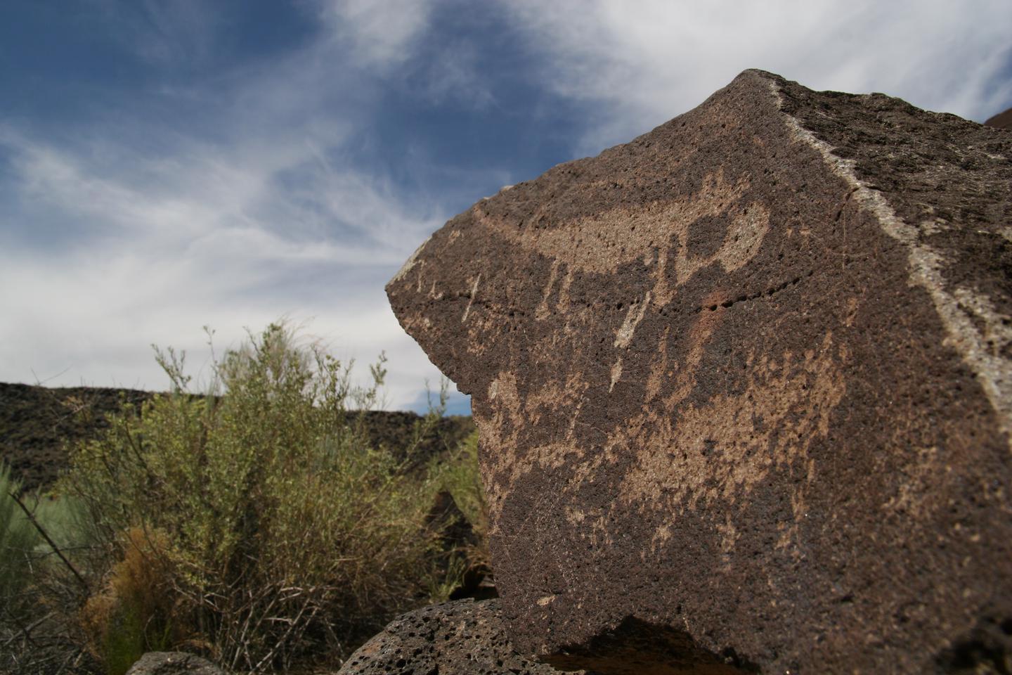Desert mammal petroglyphPetroglyph of a small mammal along the Mesa Point Trail in Boca Negra Canyon.