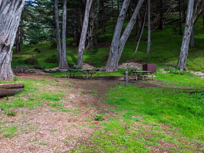 Entrance view of Site 4 at Kirby Cove. A wooden sign post has the number 4, and behind it are picnic tables, a bear locker, and a fire pit. Tall Monterey Cypress trees surround the campsite.Entrance view of Site 4.