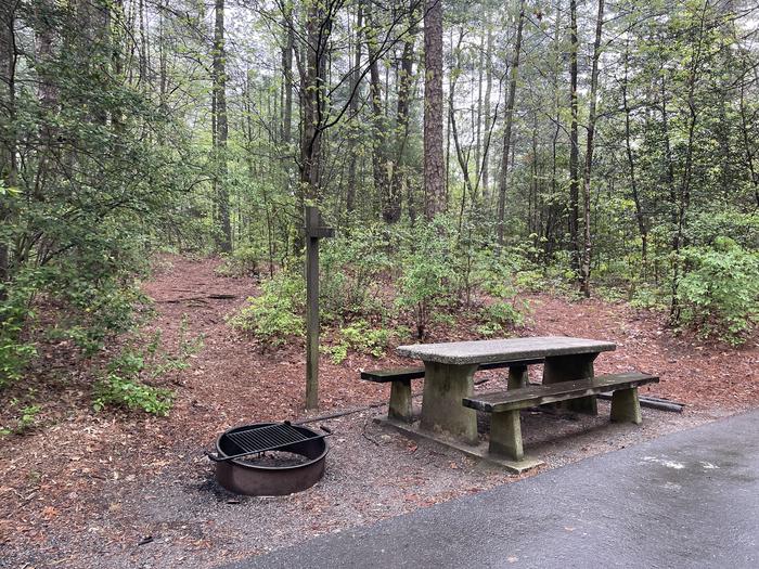 Lakeside #52 - picnic table, fire pit and trail to bathhouse 
