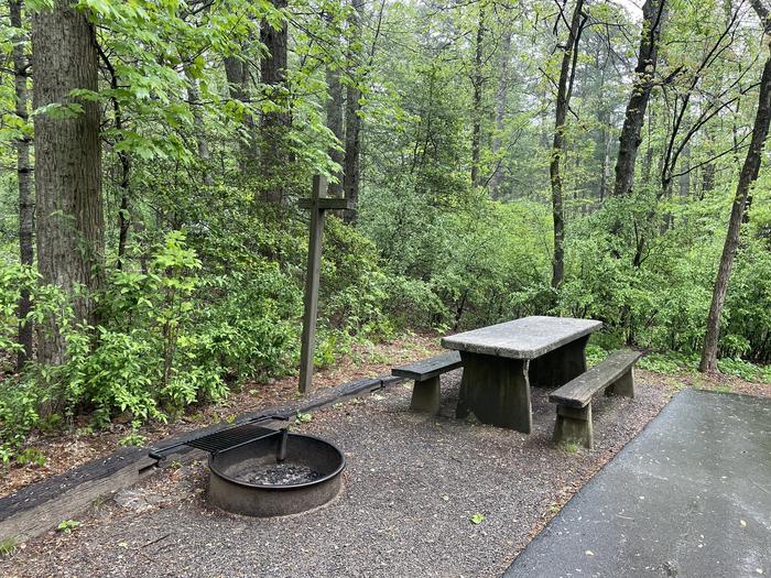 Lakeside #42 - picnic table and fire pit 