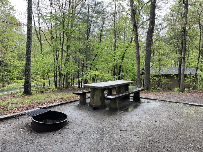 Lake Powhatan Hard Times Site #66 - picnic table and fire pit 