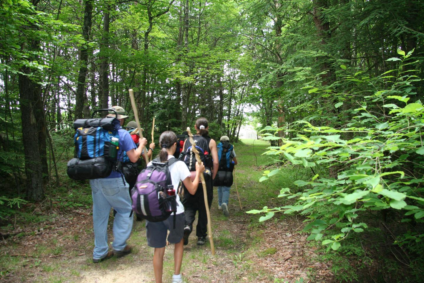 A group of 6 hikers with backpacks and walking sticks walk on a trail through the forest.The park includes over 24,000 acres, with over 14,000 acres of recommended wilderness and about 85 miles of hiking trails.
