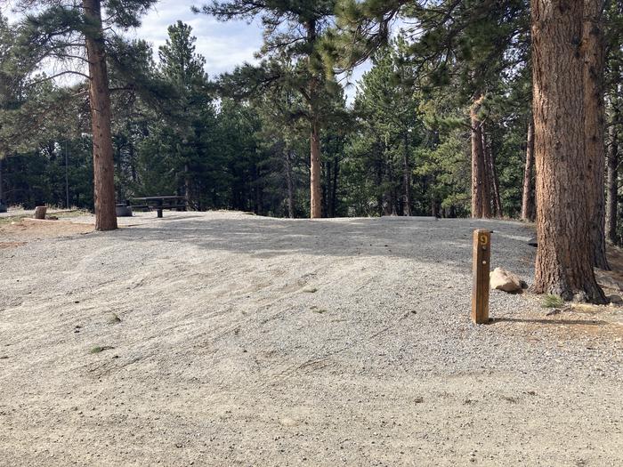 Campsite with trees and gravel parking area.A photo of Site 009 Picnic Table, Fire Pit