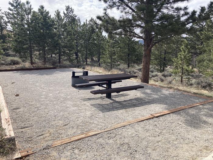 Campsite with trees, picnic table and fire pit.A photo of Site 013 with Picnic Table, Fire Pit