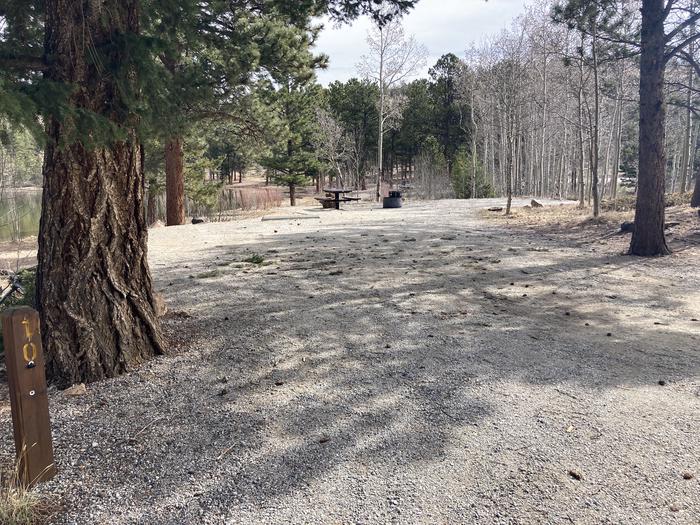 Campsite with trees, picnic table and fire pit.A photo of Site 010 with Picnic Table, Fire Pit