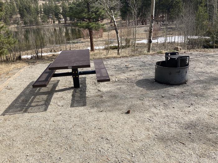 Campsite with trees, picnic table and fire pit.A photo of Site 010 with Picnic Table, Fire Pit, Waterfront