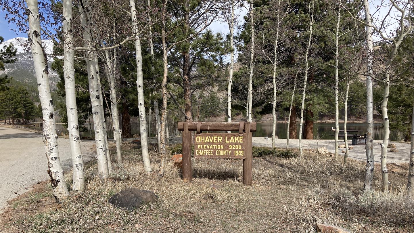 Wooden sign surrounded by aspen trees in camping area.O'Haver Lake