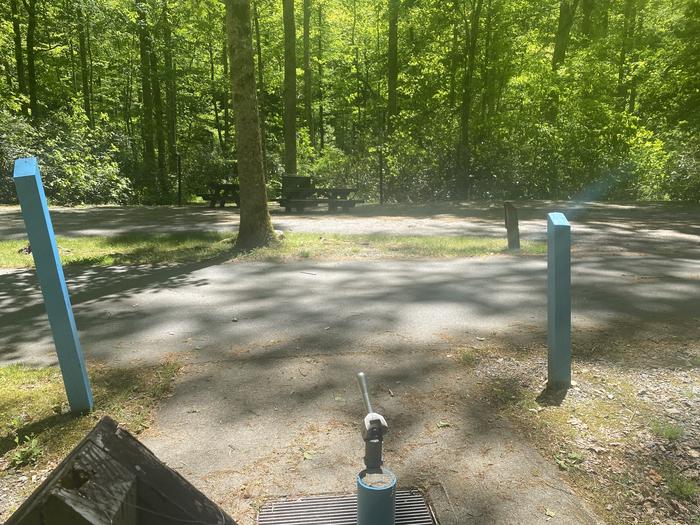 Davidson River Campground - White Oak (WOAK) Loop, Site 015. Pull through site. Two picnic tables. Two pads. Water spigot directly across the road. Located four sites from the bathhouse. Wooded. 