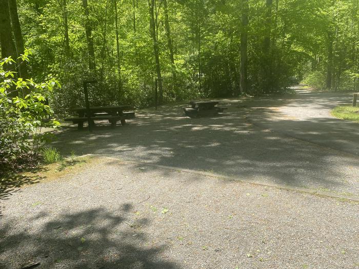 Davidson River Campground - White Oak (WOAK) Loop, Site 015. Pull through site. Two picnic tables. Two pads. Water spigot directly across the road. Located four sites from the bathhouse. Wooded. 