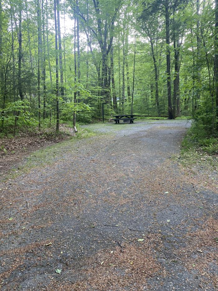 A photo of Site 099, Poplar Loop, at Davidson River. Wooded Site. No generators on this loop allowed. Several sites away from Bathhouse. First site to your right as you enter the loop. Water spigot across from boathouse. 